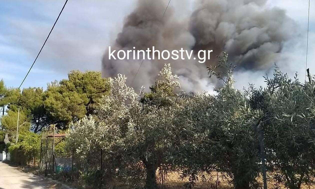 Φωτιά ΤΩΡΑ στην περιοχή Καλαμάκι Κορινθίας – Δεν υπάρχει άμεσος κίνδυνος για κατοικίες