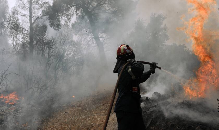 Φωτιά: Πυρκαγιά στην περιοχή των Τεμπών