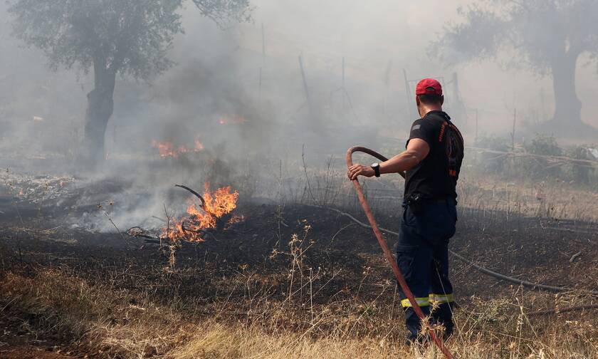 Φωτιά: Μεγάλη πυρκαγιά στην Εύβοια