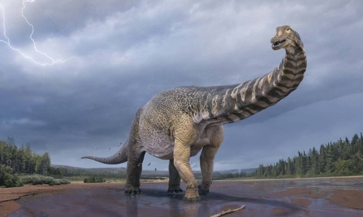 «Αυστραλοτιτάν»: Ανακαλύφθηκε νέος δεινόσαυρος που είχε μήκος όσο ένα γήπεδο μπάσκετ