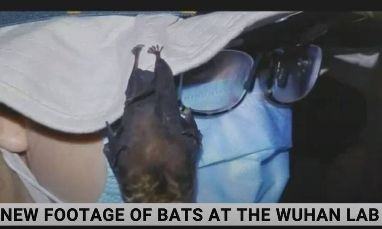 Βίντεο - αποκάλυψη του Sky News: Ζωντανές νυχτερίδες μέσα στο εργαστήριο της Γουχάν