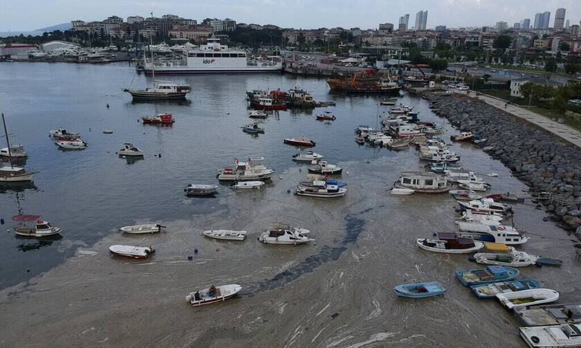 Τουρκία: Πόσο επικίνδυνη είναι η βλέννα στη θάλασσα του Μαρμαρά - Τι δείχνουν τα δείγματα