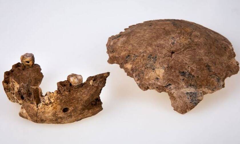Ισραήλ: Ανακαλύφθηκε νέος τύπος αρχαίου ανθρώπου - Αλλάζει η ιστορία της ανθρώπινης εξέλιξης;