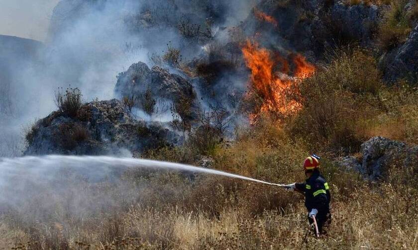 Φωτιά ΤΩΡΑ: Μεγάλη πυρκαγιά στην Σαλαμίνα