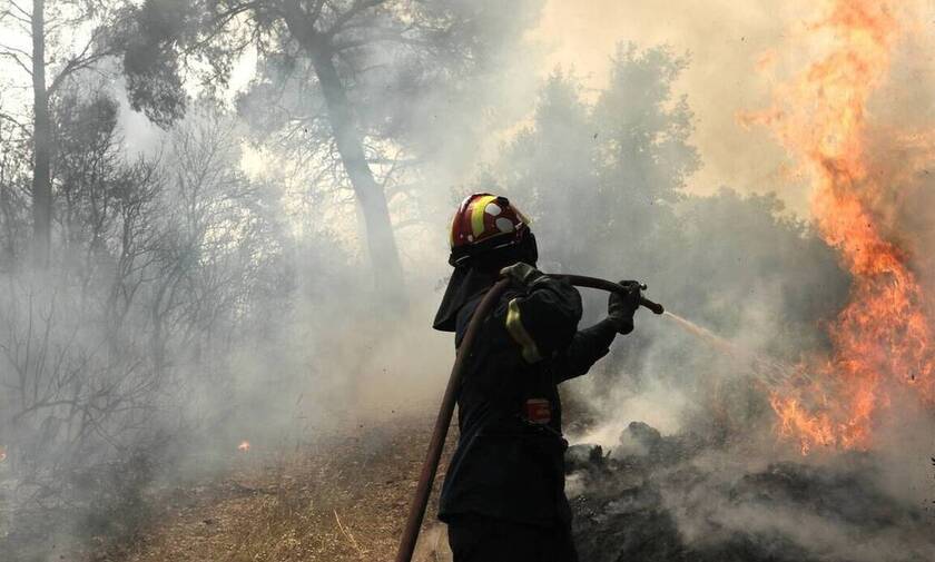 Φωτιά ΤΩΡΑ: Συναγερμός για πυρκαγιά σε δάσος των Χανίων - «Σηκώθηκε» ελικόπτερο