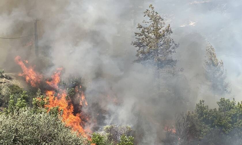 Κύπρος: Εκτός ελέγχου η πυρκαγιά στον Αρακαπά Λεμεσού