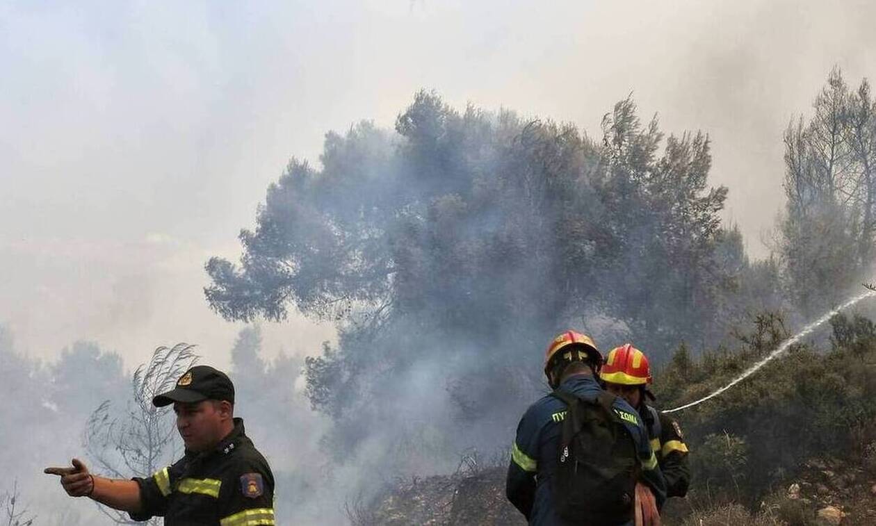 Φωτιά ΤΩΡΑ σε χορτολιβαδική έκταση στην Άνδρο - Ρίψεις από αέρος