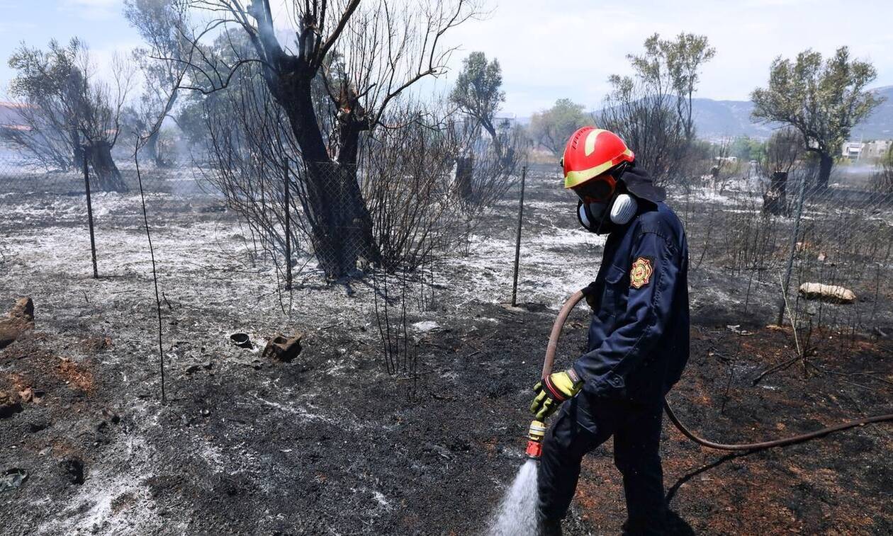 Φωτιά ΤΩΡΑ στην Ελασσόνα - Καίει χαμηλή βλάστηση