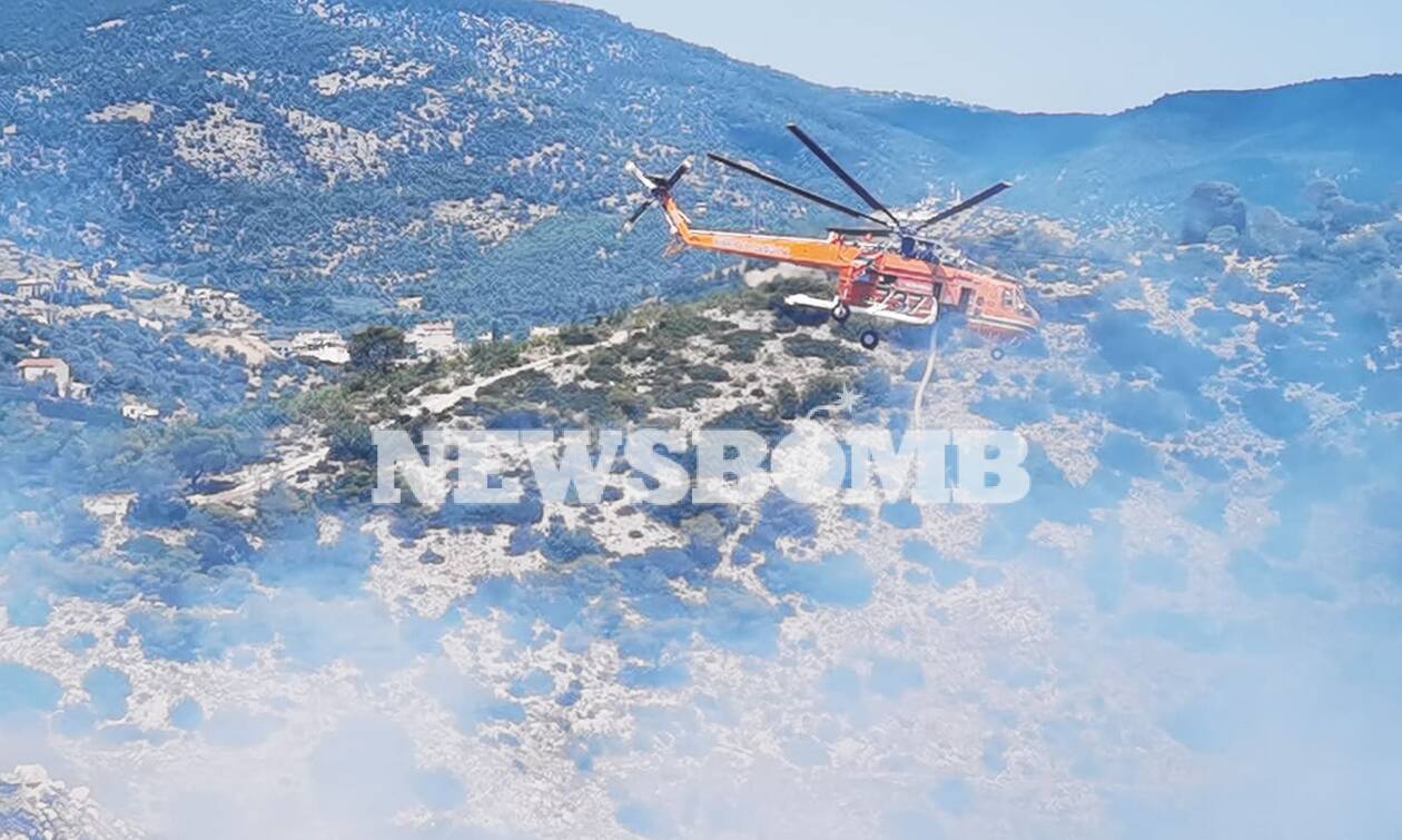 Ρεπορτάζ Newsbomb.gr - Μεγάλη φωτιά στη Χασιά: Καίει χαμηλή βλάστηση - «Μάχη» για τον περιορισμό της