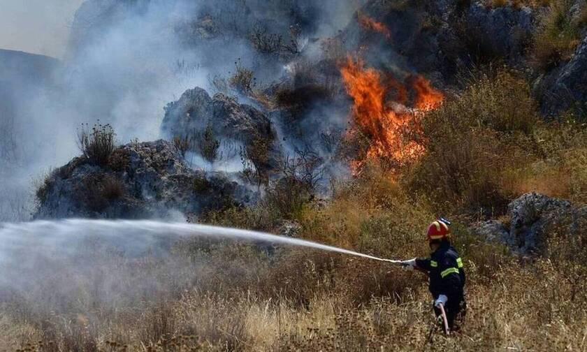 Αντιπεριφερειάρχης Έβρου στο Newsbomb.gr: Μεγάλο το μέτωπο της φωτιάς βόρεια της Λευκίμμης