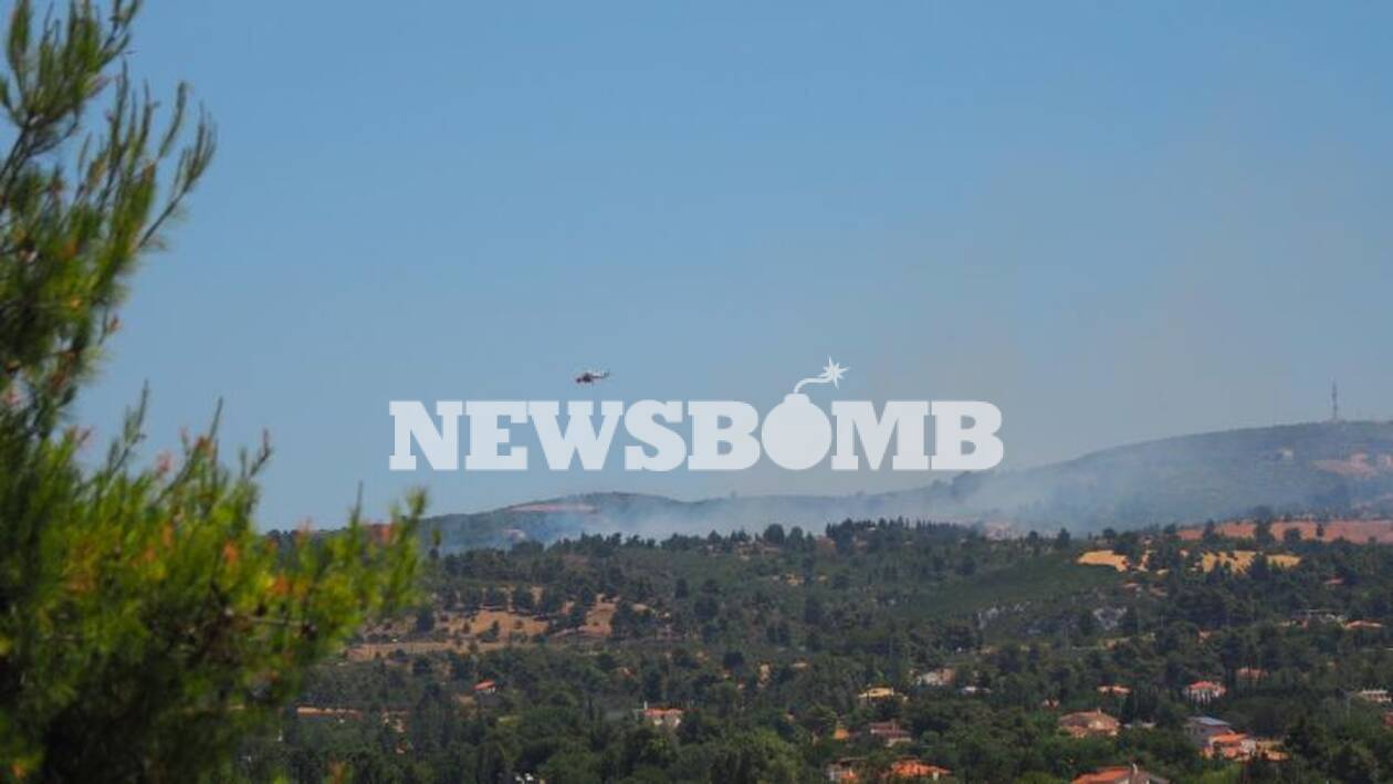 Δήμαρχος Μαραθώνα στο Newsbomb.gr για φωτιά στον Βαρνάβα: Έχουμε αναζωπύρωση - Κινδυνεύουν αγροικίες