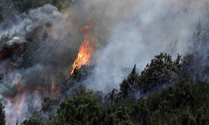 Κύπρος: Μεγάλη φωτιά στην Πάχνα Λεμεσού