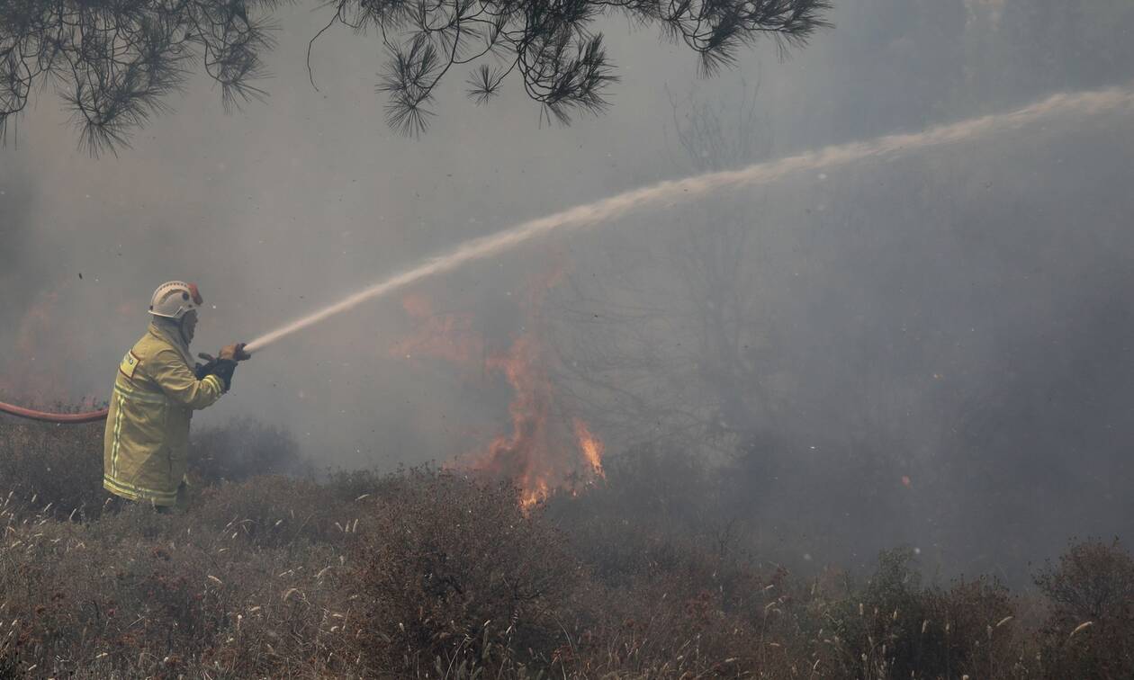 Θεσσαλονίκη: Υπό έλεγχο η πυρκαγιά στο Σέιχ Σου