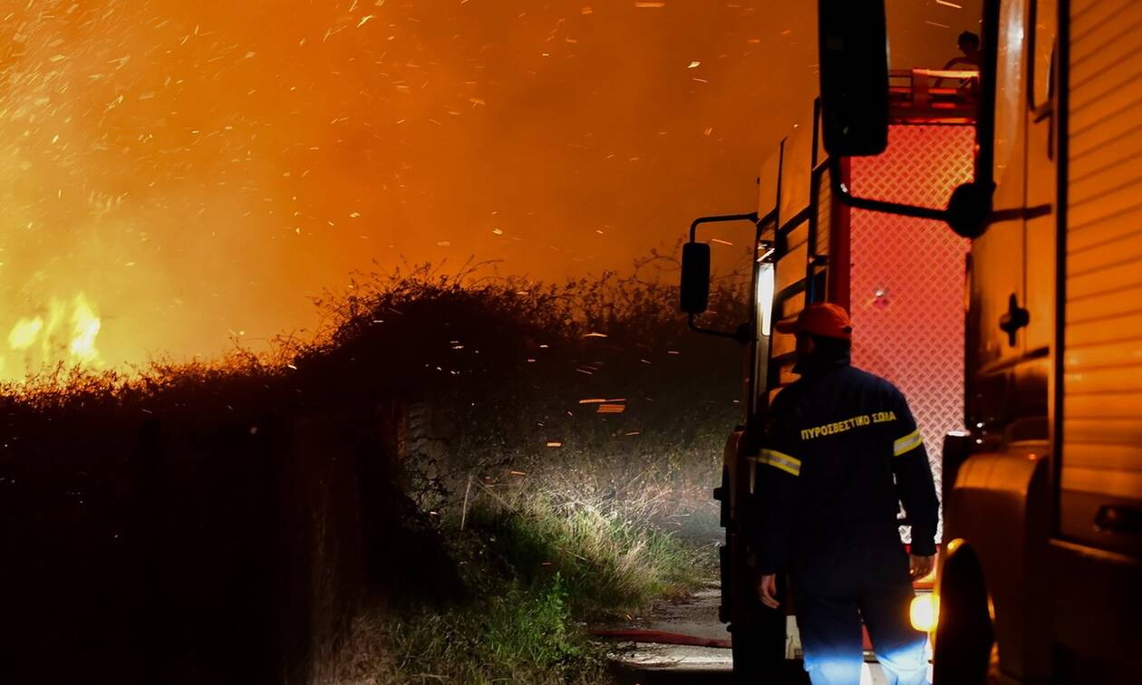 Φωτιά ΤΩΡΑ στη Μαγνησία: Υπό μερικό έλεγχο η πυρκαγιά στην περιοχή Σκαφίδες του δήμου Ρήγα Φεραίου