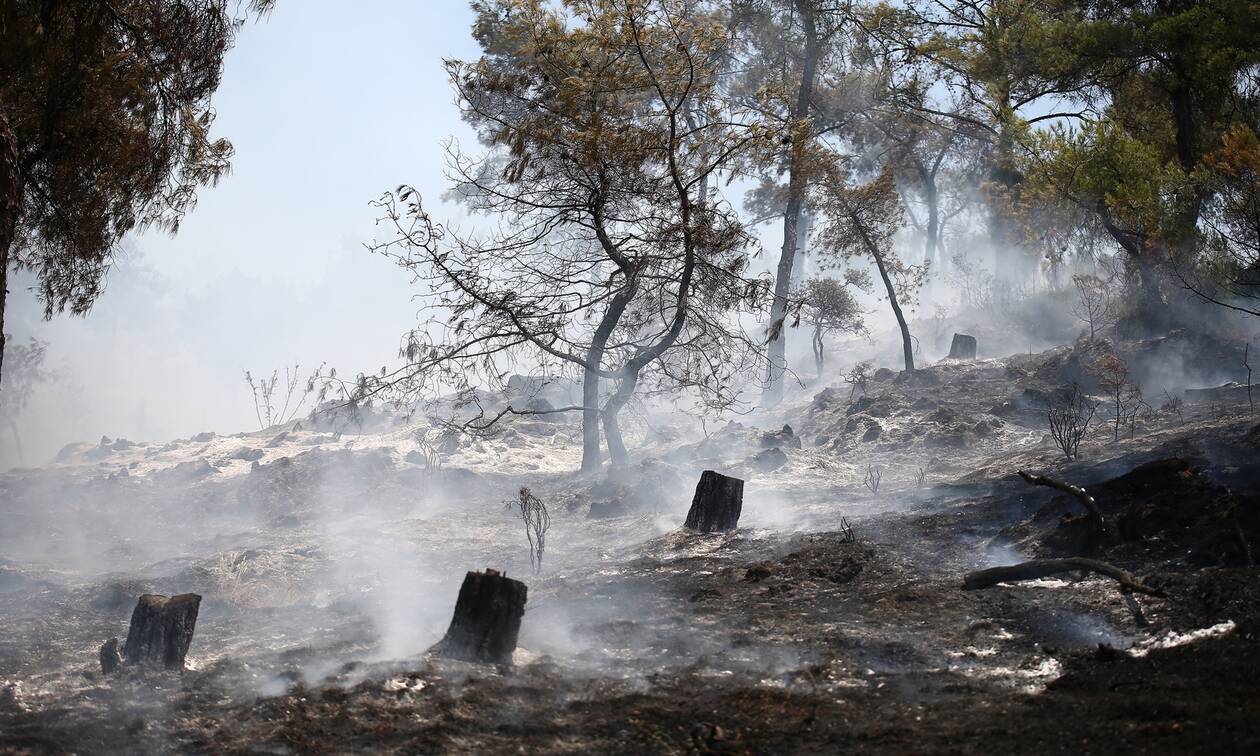 Χανιά: Σε ύφεση η πυρκαγιά σε ορεινή περιοχή του Δήμου Καντάνου-Σελίνου