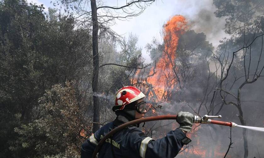 Φωτιά στη Σαλαμίνα - Κινητοποίηση της Πυροσβεστικής για την κατάσβεση