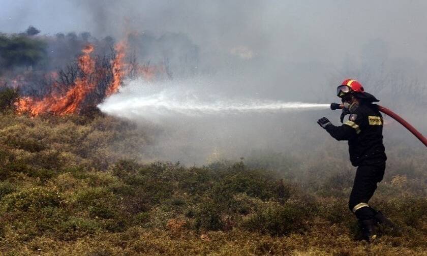 Φωτιά ΤΩΡΑ στον Βόλο: Στην περιοχή Περίβλεπτο - Δεν απειλούνται κατοικημένες περιοχές