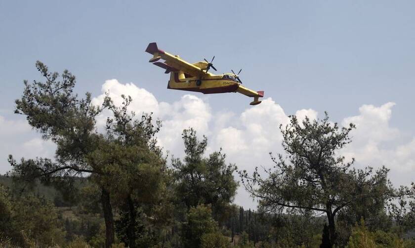 Πυροσβεστική: 55 δασικές πυρκαγιές εκδηλώθηκαν το τελευταίο 24ωρο σε όλη την Ελλάδα