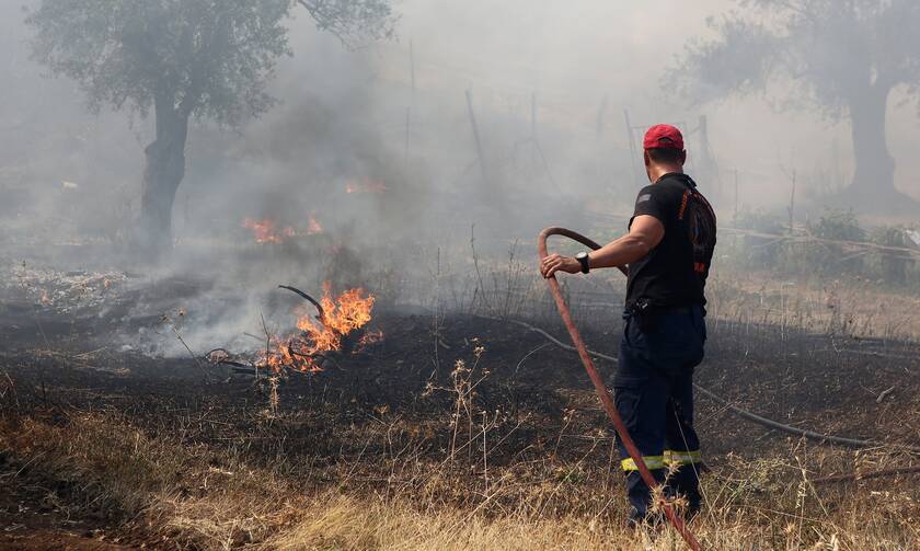 Φωτιά ΤΩΡΑ: Μεγάλη πυρκαγιά στην Κάρυστο