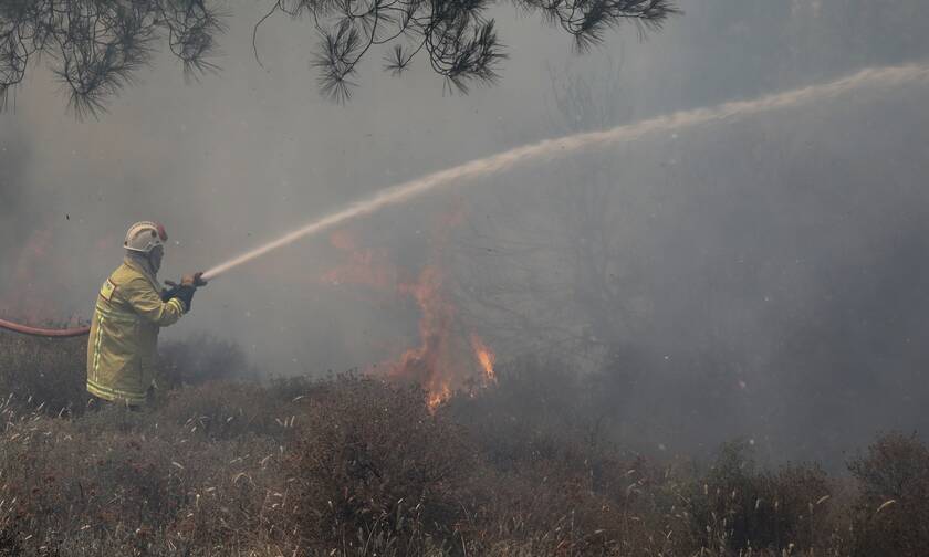Φωτιά ΤΩΡΑ: Μεγάλη πυρκαγιά στην Κρήτη
