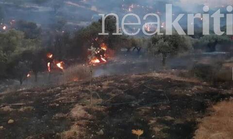 Φωτιά ΤΩΡΑ: Μαίνεται το πύρινο μέτωπο στο Λασίθι - Ενισχύθηκαν οι πυροσβεστικές δυνάμεις