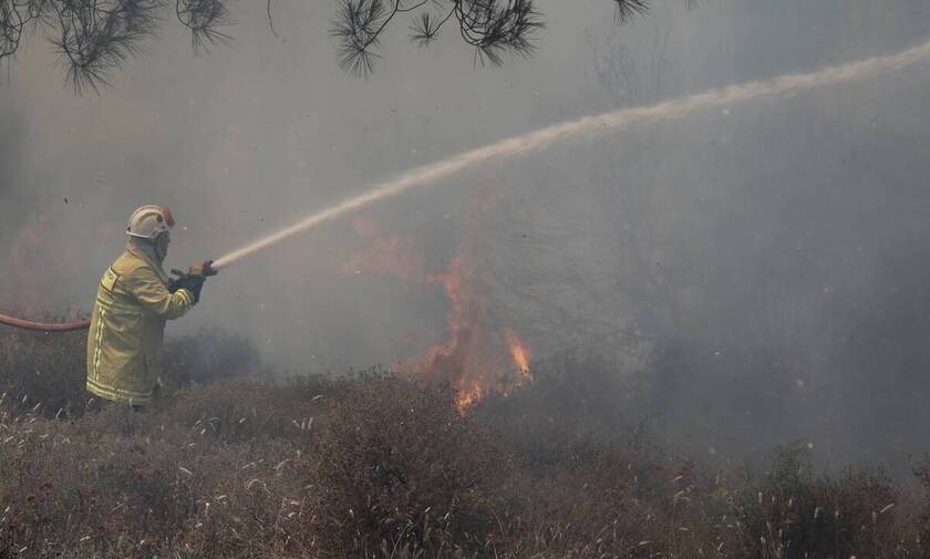 Φωτιά: Σε ύφεση η πυρκαγιά στο Λασίθι