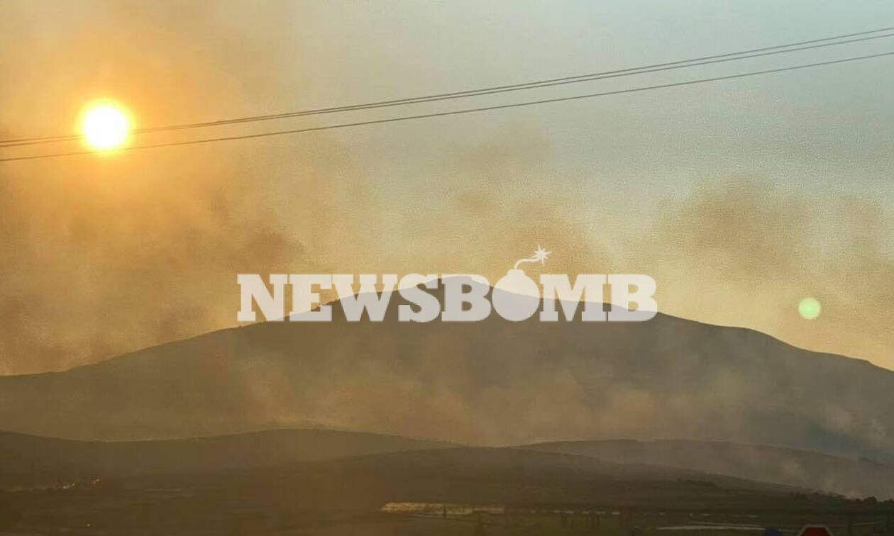 Φωτιά τώρα: Πύρινος εφιάλτης στο Καλέντζι Κορινθίας-Σκληρή μάχη με τις φλόγες, ανεξέλεγκτο το μέτωπο