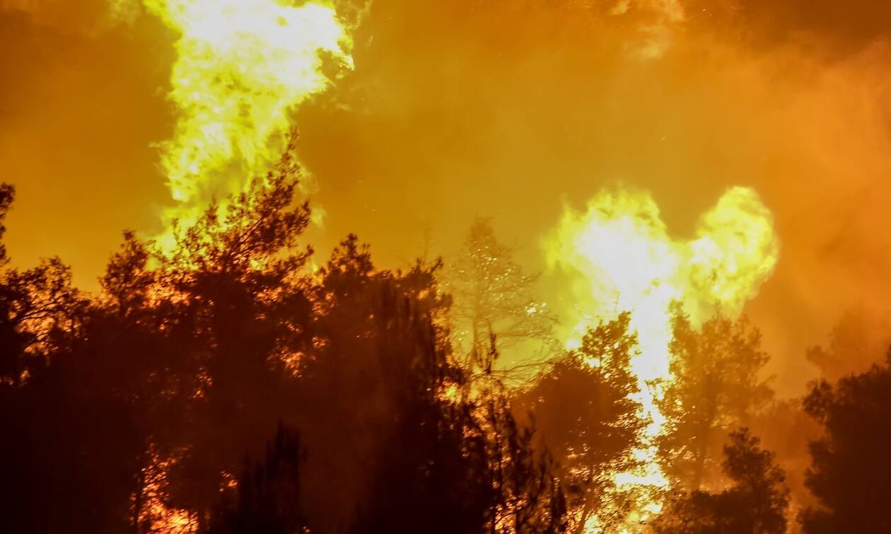 Φωτιά τώρα: Δύσκολη νύχτα στην Κορινθία- Μαίνεται ανεξέλεγκτο το μέτωπο στο Καλέντζι