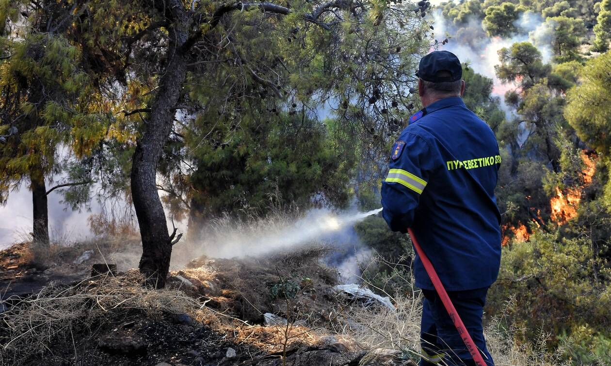 Φωτιά στην Χαλκιδική: Υπό έλεγχο η πυρκαγιά στον Ταξιάρχη