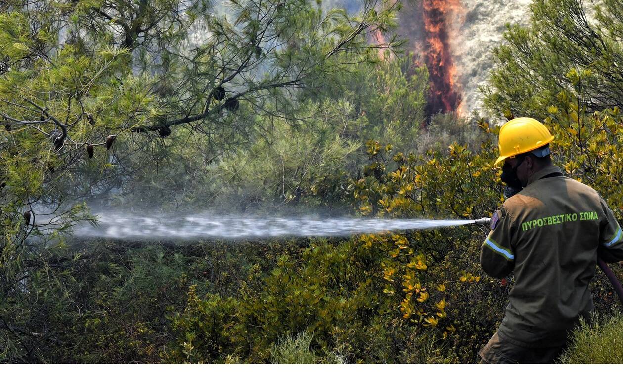 Φωτιά ΤΩΡΑ: Πυρκαγιά στις Νερατζούλες Ζακύνθου