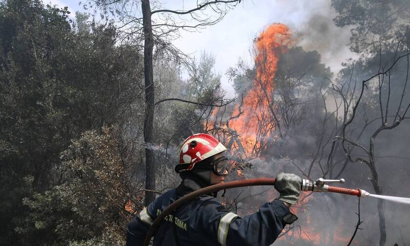 Φωτιά ΤΩΡΑ - Κιλκίς: Μεγάλη πυρκαγιά στο δάσος του Σκρα - Δύσκολη επιχείρηση σε δύσβατα σημεία