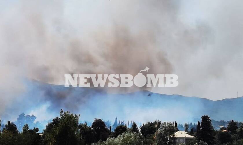 Φωτιά στη Σταμάτα: Οι πρώτες εικόνες από την πυρκαγιά που καίει κοντά σε σπίτια