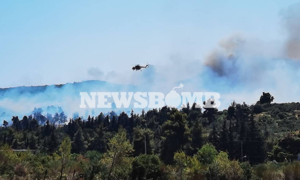 Φωτιά ΤΩΡΑ στη Σταμάτα: Μήνυμα έκτακτης ανάγκης από το 112 - Εκκενώθηκε οικισμός