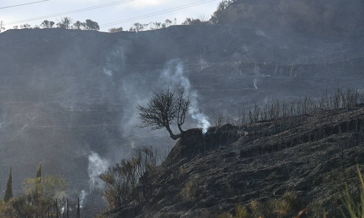 Φωτιές στην Αχαΐα: Βελτιωμένη η εικόνα στη Δροσιά - Οριοθετήθηκε η πυρκαγιά στην Ελεκίστρα