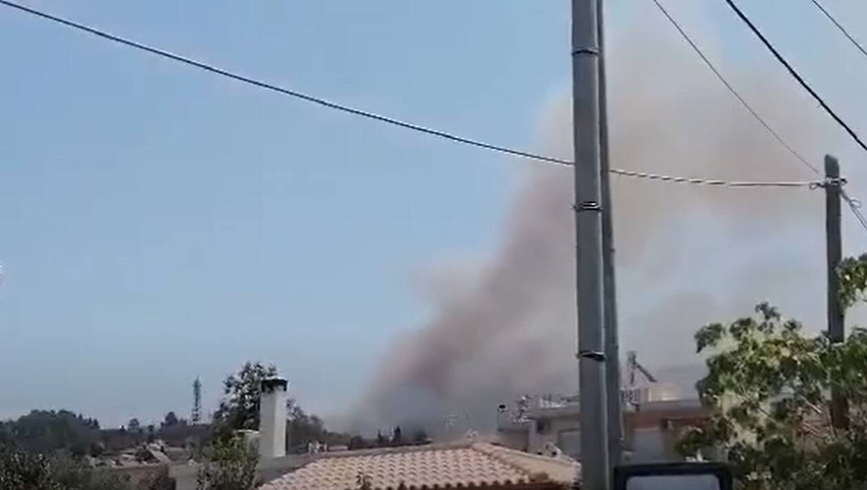 Φωτιά ΤΩΡΑ στην Αχαΐα - Εντολή για εκκένωση σπιτιών
