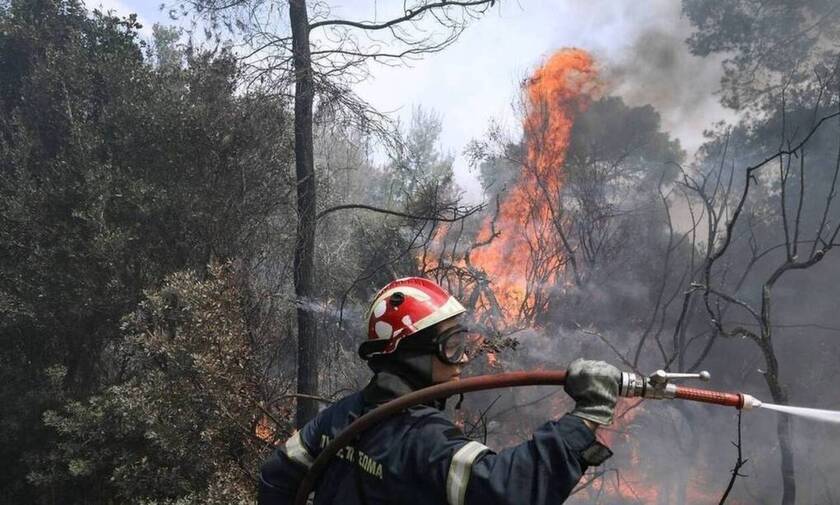 Μεγάλη πυρκαγιά κοντά στο Αχίλλειο Φαρσάλων – Πάνω από 40 πυροσβέστες στο σημείο