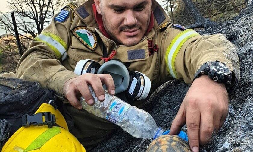 Αχαΐα: Ο πυροσβέστης που έγινε viral - Η φωτογραφία με τη χελώνα μέσα στην πυρκαγιά