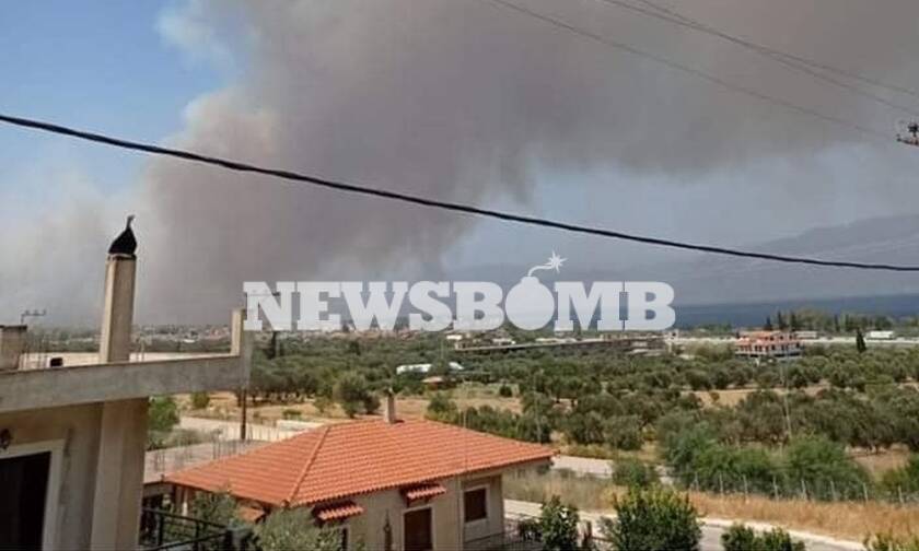 Φωτιά ΤΩΡΑ στη Ζήρια Αχαΐας – Εκκενώνεται οικισμός