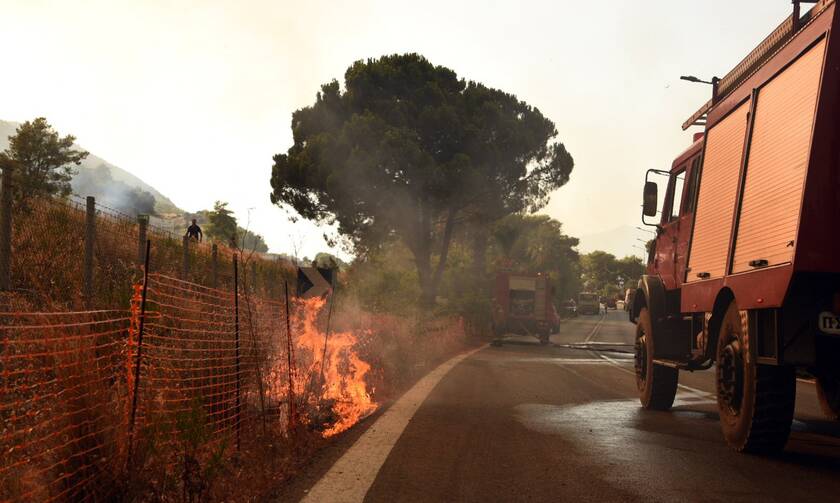 Φωτιά Αχαΐα: Διακοπή κυκλοφορίας στην Ολυμπία οδό - Μάχη με τις φλόγες στη σήραγγα Παναγοπούλα