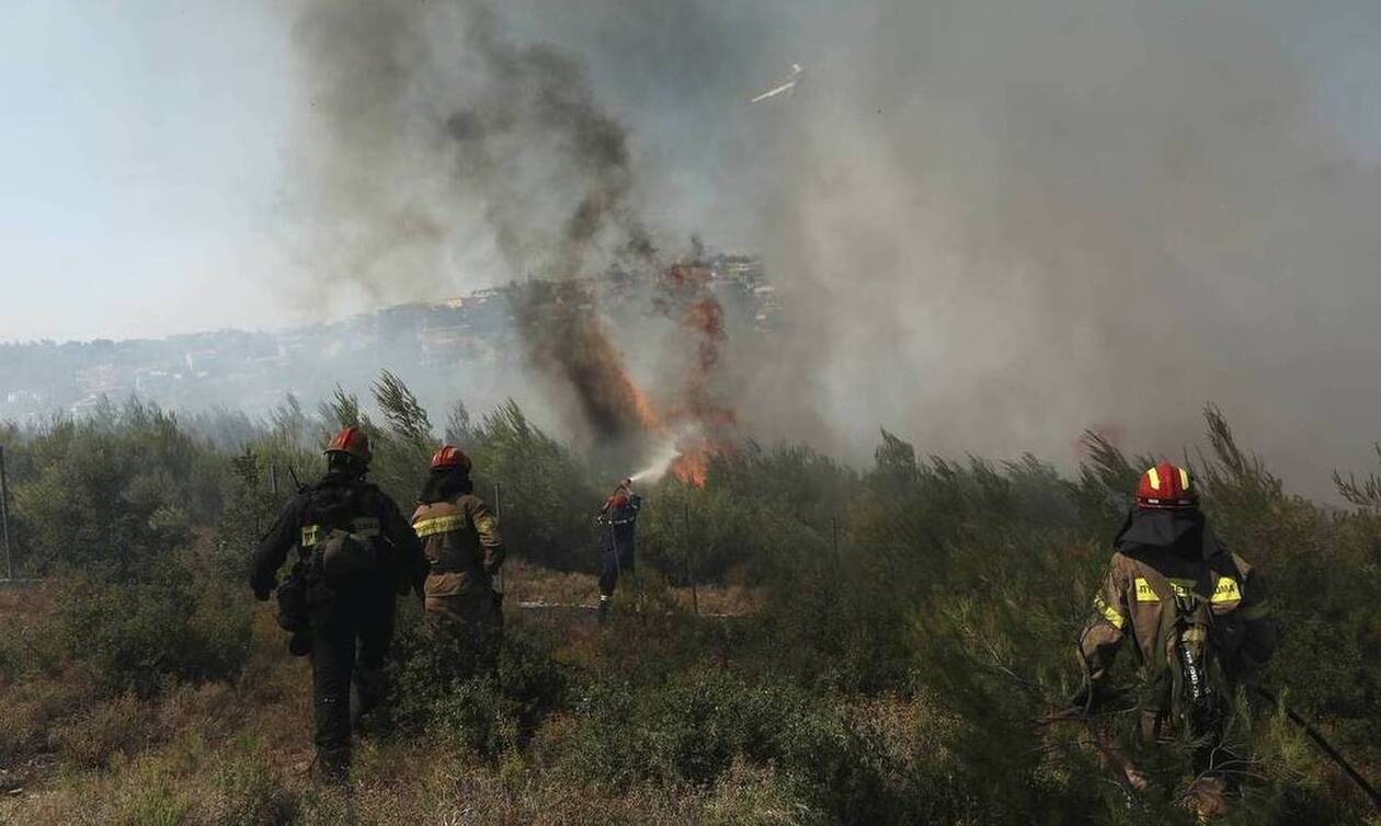 Φωτιά Τώρα στο Σουφλί - Επιχειρούν 22 πυροσβέστες με 12 οχήματα