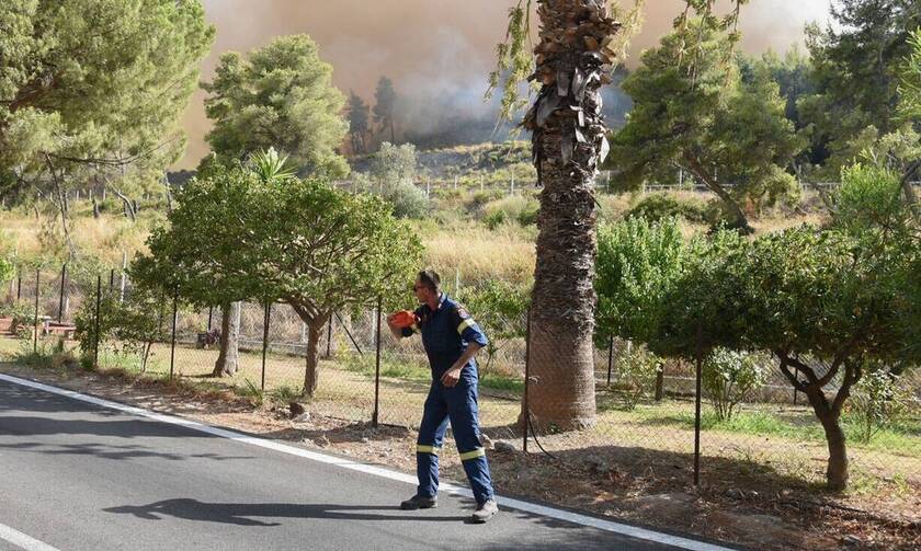 Έβρος: Απαγόρευση κυκλοφορίας αύριο σε δάση της περιοχής για την πρόληψη πυρκαγιών