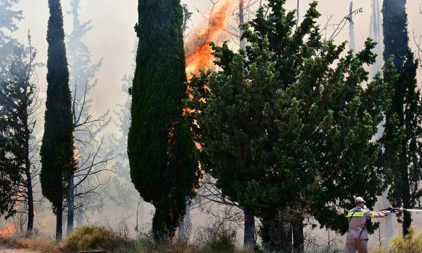 «Καμπανάκι» - Ζερεφού: Kίνδυνος για πολύ μεγάλες φωτιές μετά τον καύσωνα - Επικίνδυνος ο Αύγουστος