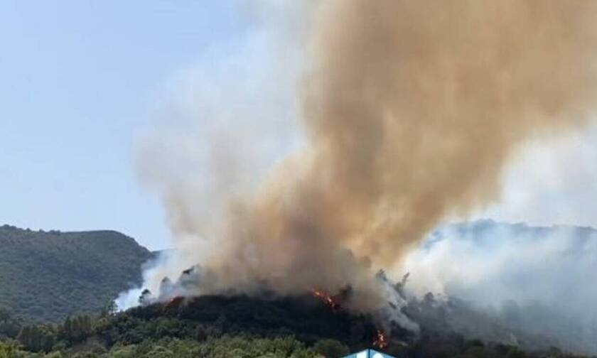 Φωτιά στο Αγρίνιο: Σε ύφεση η πυρκαγιά στο Παραδείσι - Επιστρέφουν στα σπίτια τους οι κάτοικο