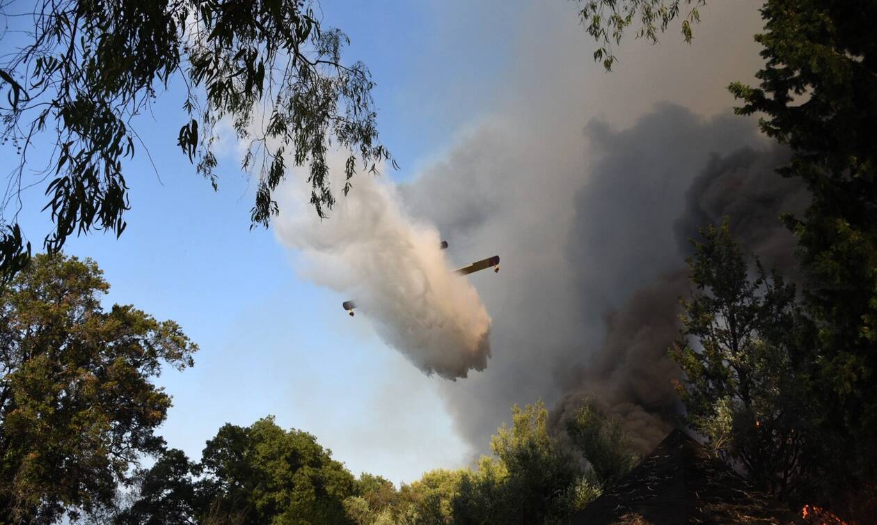 Φωτιά στη Μεσσηνία: Κινδυνεύει μοναστήρι από τις φλόγες - Τι λέει ο δήμαρχος Πύλου στο Newsbomb.gr