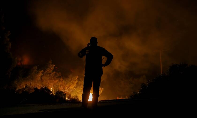 Φωτιά στο χωριό Λογγίτσι στην Ανατολική Φθιώτιδα