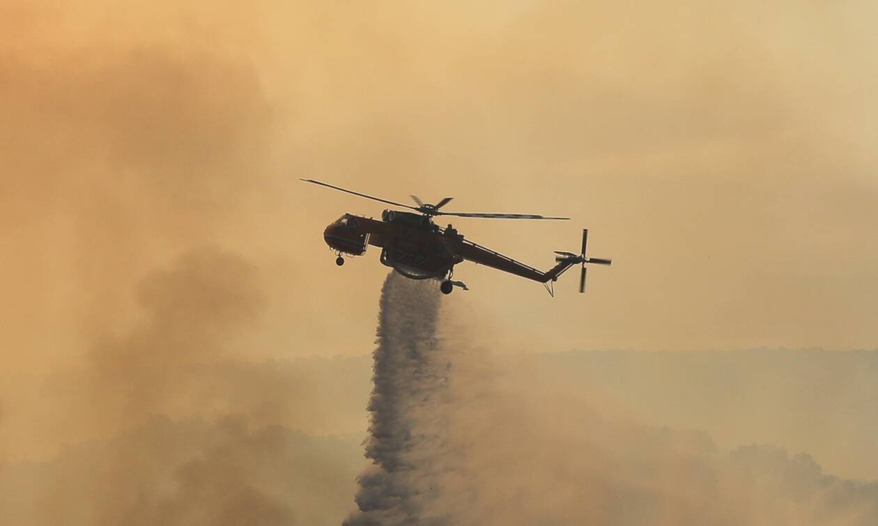 Φωτιά τώρα: Πυρκαγιά σε δάσος στη Καστανιά της ανατολικής Μάνης