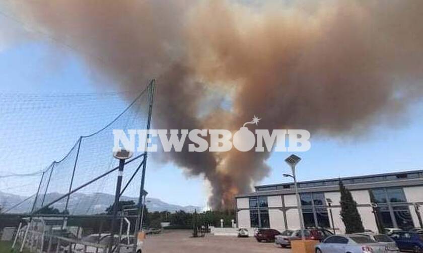 Πέτσας στο Newsbomb.gr για τη φωτιά στη Βαρυμπόμπη: Συντονισμένη επιχείρηση για τον περιορισμό της