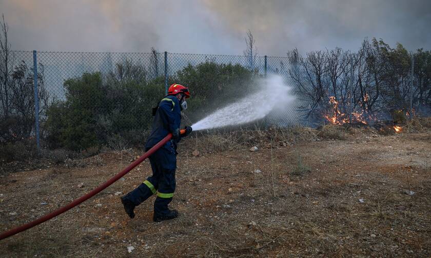 Φωτιά στα Καλάβρυτα: Καίγεται δάσος ανάμεσα στα χωριά Πλάκα και Αγράμπελα