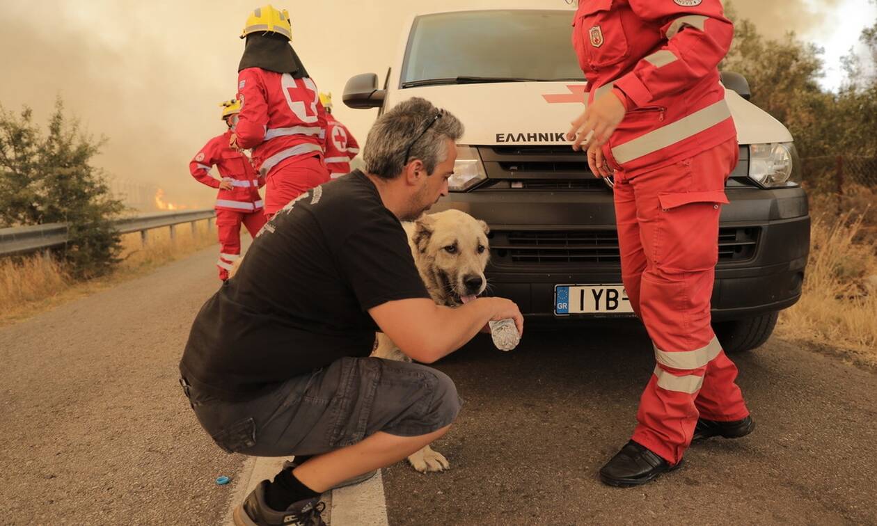 Φωτιά στη Βαρυμπόμπη: Ο Ελληνικός Ερυθρός Σταυρός δίπλα στους κατοίκους των πληττόμενων περιοχών