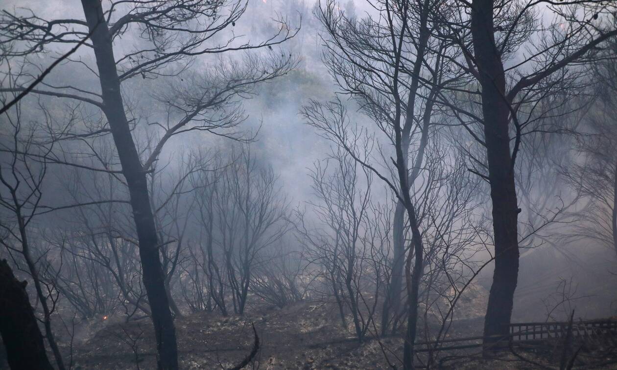 Φωτιά στη Βαρυμπόμπη- Δήμαρχος Αχαρνών: Σε κατάσταση εκτάκτου ανάγκης η πληγείσα περιοχή